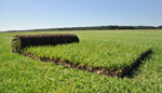 Graszoden.nl krijgt een klantenoordeel van